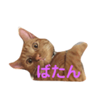ねこの茶トらん1（個別スタンプ：9）