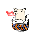 いつものぶたさん（個別スタンプ：21）