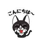 黒猫ちゃちゃ丸☆チャチャチャ♪（個別スタンプ：1）