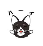 黒猫ちゃちゃ丸☆チャチャチャ♪（個別スタンプ：6）
