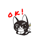 黒猫ちゃちゃ丸☆チャチャチャ♪（個別スタンプ：9）