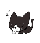 黒猫ちゃちゃ丸☆チャチャチャ♪（個別スタンプ：23）
