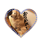 くーちゃん専用スタンプ（個別スタンプ：7）
