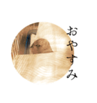 ヒメウズラのチュンバ（個別スタンプ：4）