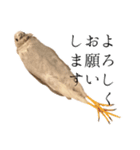 ヒメウズラのチュンバ（個別スタンプ：8）