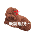 トイプードルのアムールちゃん（個別スタンプ：4）