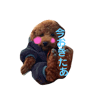 トイプードルのアムールちゃん（個別スタンプ：6）