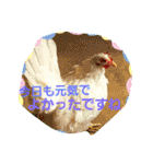 ココチヨ 2 スタンプ（個別スタンプ：26）