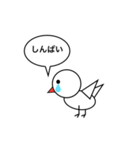 とりち（個別スタンプ：10）