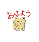 てぃとぷぅ（個別スタンプ：1）