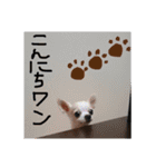とーじくんの日常（個別スタンプ：10）