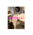 猫太＆猫次郎（個別スタンプ：30）