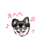 2わん1にょろ（個別スタンプ：2）