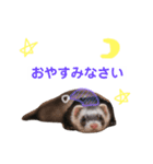 2わん1にょろ（個別スタンプ：5）