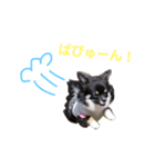 2わん1にょろ（個別スタンプ：7）