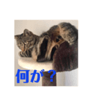 モリモリゾースタンプ（個別スタンプ：3）