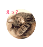 モリモリゾースタンプ（個別スタンプ：7）
