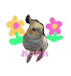 おかめでーす（個別スタンプ：4）