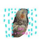 おかめでーす（個別スタンプ：5）