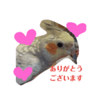 おかめでーす（個別スタンプ：6）