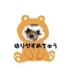 コタと日常会話（個別スタンプ：6）