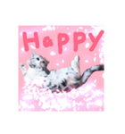 リアルにゃんこ （♥篇）（個別スタンプ：1）