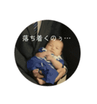 赤ちゃんの極み（個別スタンプ：13）