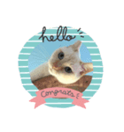 猫ねこスタンプ（個別スタンプ：4）