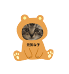 猫ねこスタンプ（個別スタンプ：6）