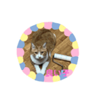 猫ねこスタンプ（個別スタンプ：8）