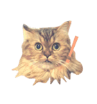 おじゃという名のねこ。（個別スタンプ：1）