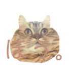 おじゃという名のねこ。（個別スタンプ：10）
