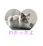 らんぴ！（個別スタンプ：3）