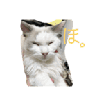 らんぴ！（個別スタンプ：6）