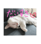らんぴ！（個別スタンプ：7）