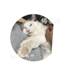 らんぴ！（個別スタンプ：8）