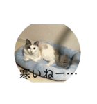 らんぴ！（個別スタンプ：15）