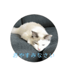らんぴ！（個別スタンプ：17）