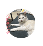らんぴ！（個別スタンプ：18）