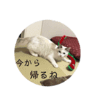 らんぴ！（個別スタンプ：20）