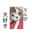 らんぴ！（個別スタンプ：24）