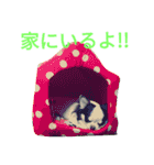 プリンセス チョコ（個別スタンプ：10）