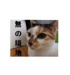 れんげと一緒（個別スタンプ：4）