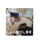 れんげと一緒（個別スタンプ：8）