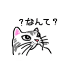 猫な。（個別スタンプ：5）