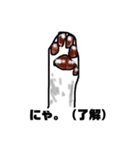 猫な。（個別スタンプ：8）