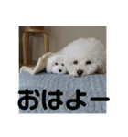 こんにちワンコ〜キキです。（個別スタンプ：7）