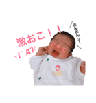 虎之介の毎日（個別スタンプ：1）