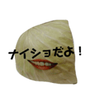 明日食べるキャベツ（個別スタンプ：3）