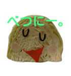 明日食べるキャベツ（個別スタンプ：13）
